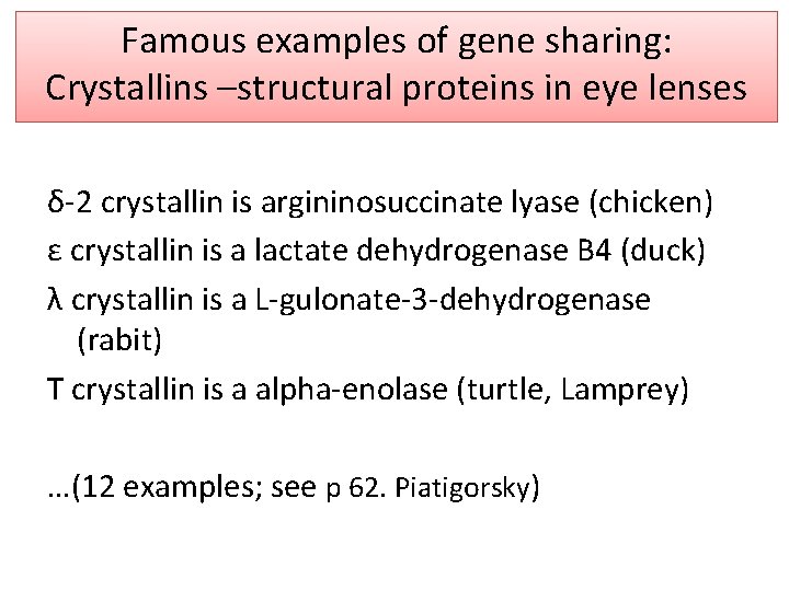 Famous examples of gene sharing: Crystallins –structural proteins in eye lenses δ-2 crystallin is