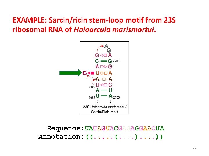 EXAMPLE: Sarcin/ricin stem-loop motif from 23 S ribosomal RNA of Haloarcula marismortui. Sequence: UAUAGUACGAGAGGAACUA