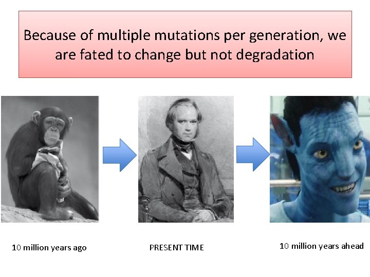 Because of multiple mutations per generation, we are fated to change but not degradation