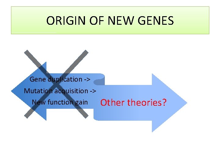 ORIGIN OF NEW GENES Gene duplication -> Mutation acquisition -> New function gain Other
