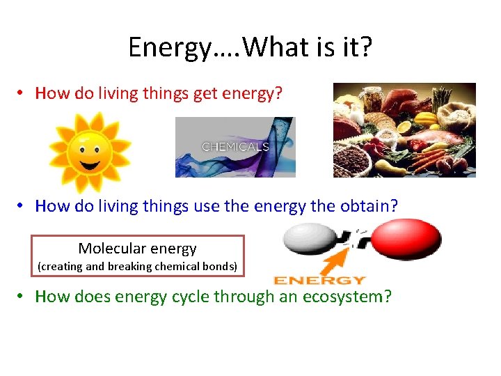 Energy…. What is it? • How do living things get energy? • How do