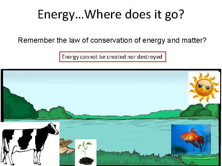 Energy…Where does it go? Remember the law of conservation of energy and matter? Energy