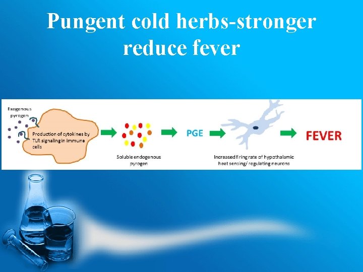 Pungent cold herbs-stronger reduce fever 