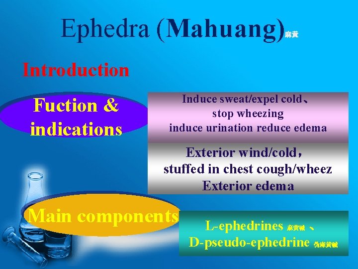 Ephedra (Mahuang) 麻黄 Introduction Fuction & indications Induce sweat/expel cold、 stop wheezing induce urination