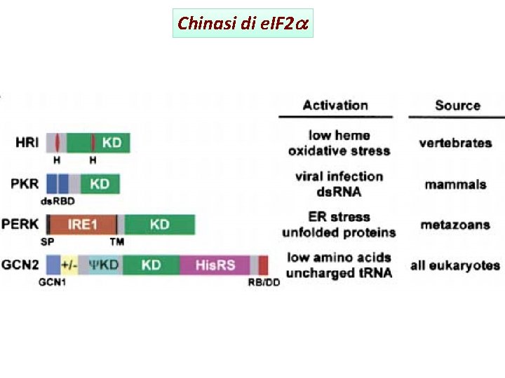 Chinasi di e. IF 2 a 