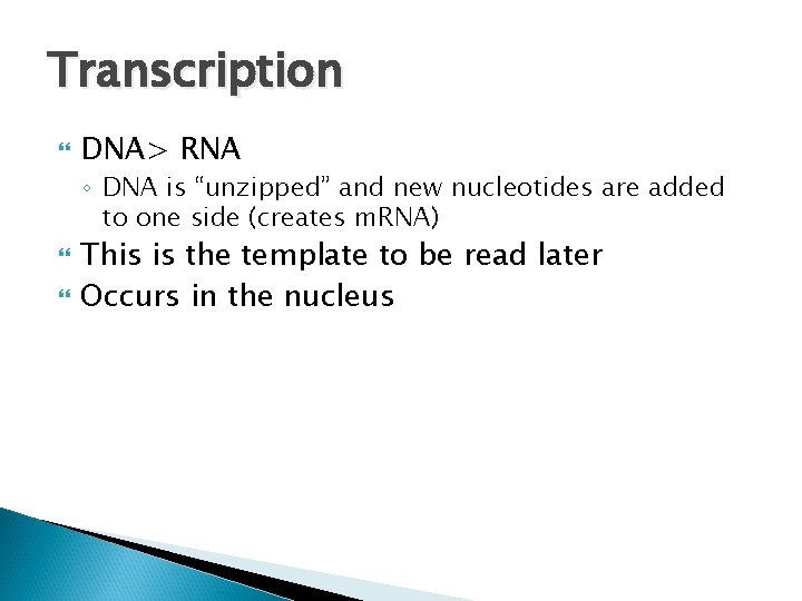 Transcription DNA> RNA ◦ DNA is “unzipped” and new nucleotides are added to one