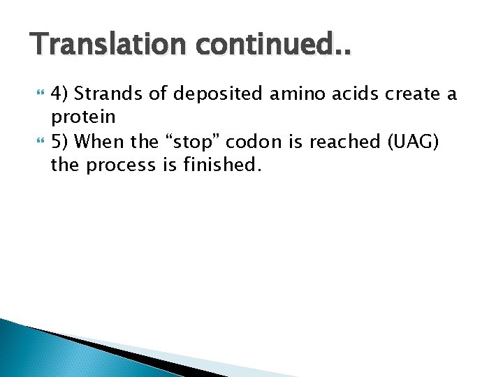Translation continued. . 4) Strands of deposited amino acids create a protein 5) When