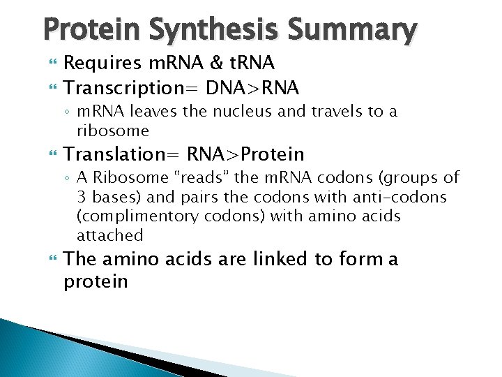 Protein Synthesis Summary Requires m. RNA & t. RNA Transcription= DNA>RNA ◦ m. RNA