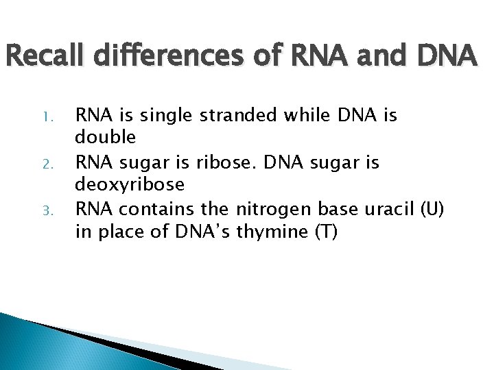 Recall differences of RNA and DNA 1. 2. 3. RNA is single stranded while