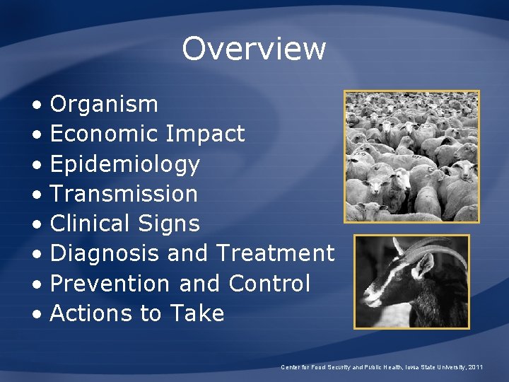 Overview • Organism • Economic Impact • Epidemiology • Transmission • Clinical Signs •