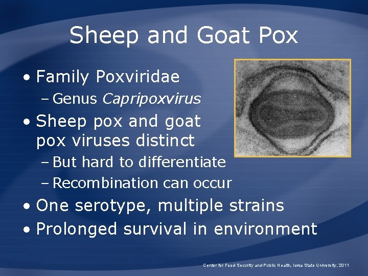 Sheep and Goat Pox • Family Poxviridae – Genus Capripoxvirus • Sheep pox and