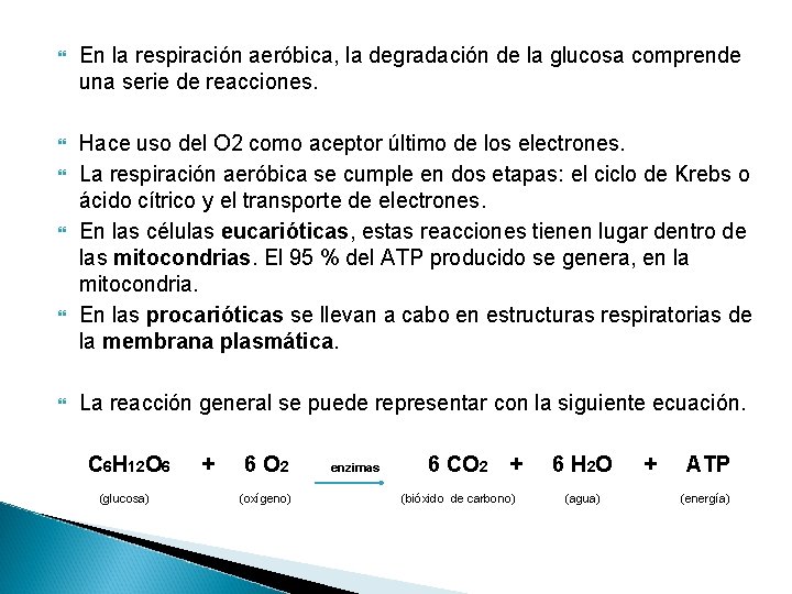  En la respiración aeróbica, la degradación de la glucosa comprende una serie de
