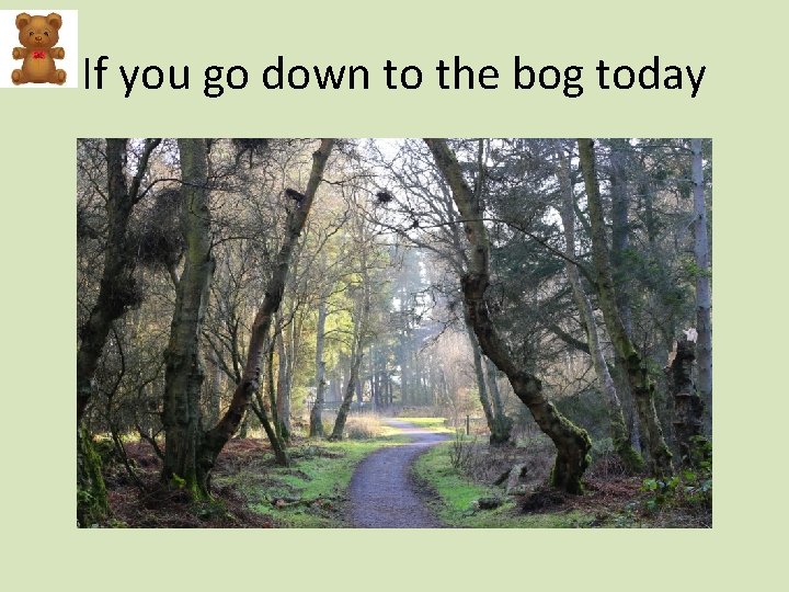 If you go down to the bog today 