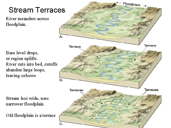 Stream Terraces River meanders across floodplain. Base level drops, or region uplifts. River cuts