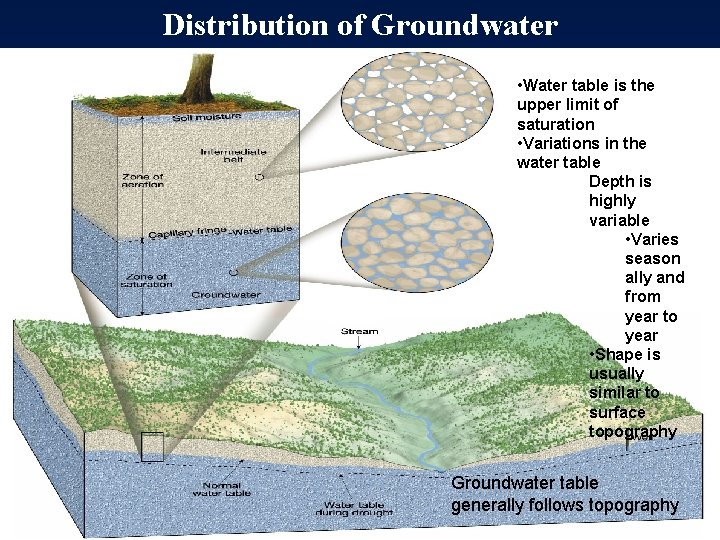 Distribution of Groundwater • Water table is the upper limit of saturation • Variations