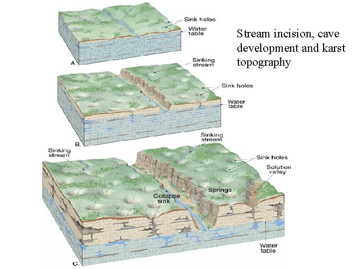 Stream incision, cave development and karst topography 