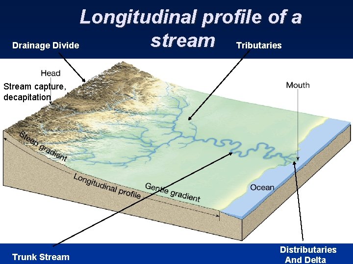 Longitudinal profile of a stream Tributaries Drainage Divide Stream capture, decapitation Trunk Stream Distributaries
