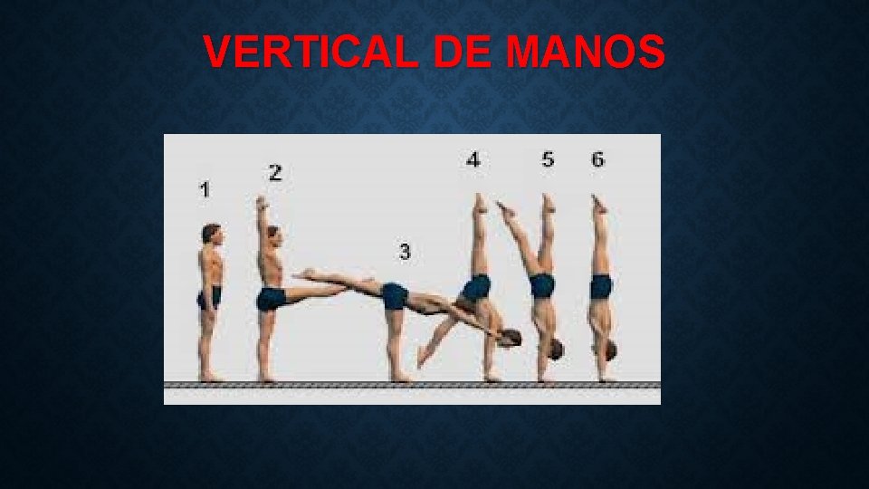 VERTICAL DE MANOS 