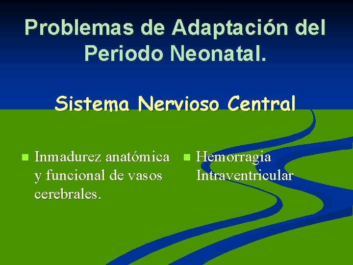 Problemas de Adaptación del Periodo Neonatal. Sistema Nervioso Central n Inmadurez anatómica y funcional