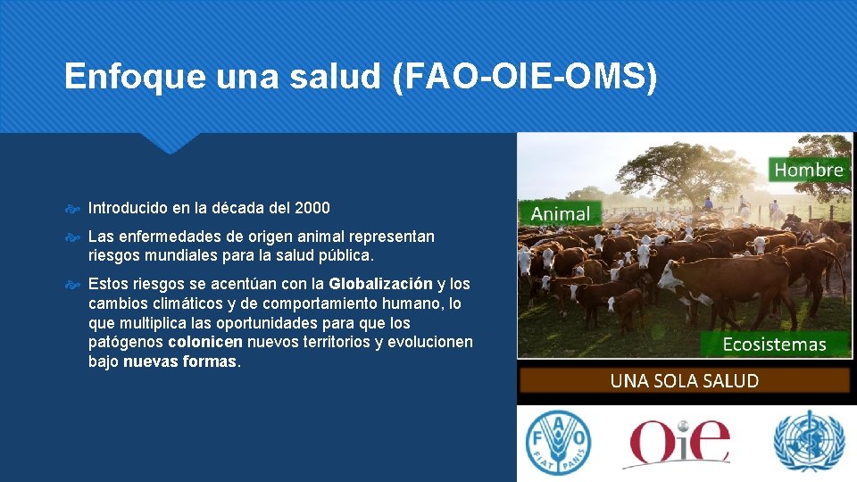 Enfoque una salud (FAO-OIE-OMS) Introducido en la década del 2000 Las enfermedades de origen