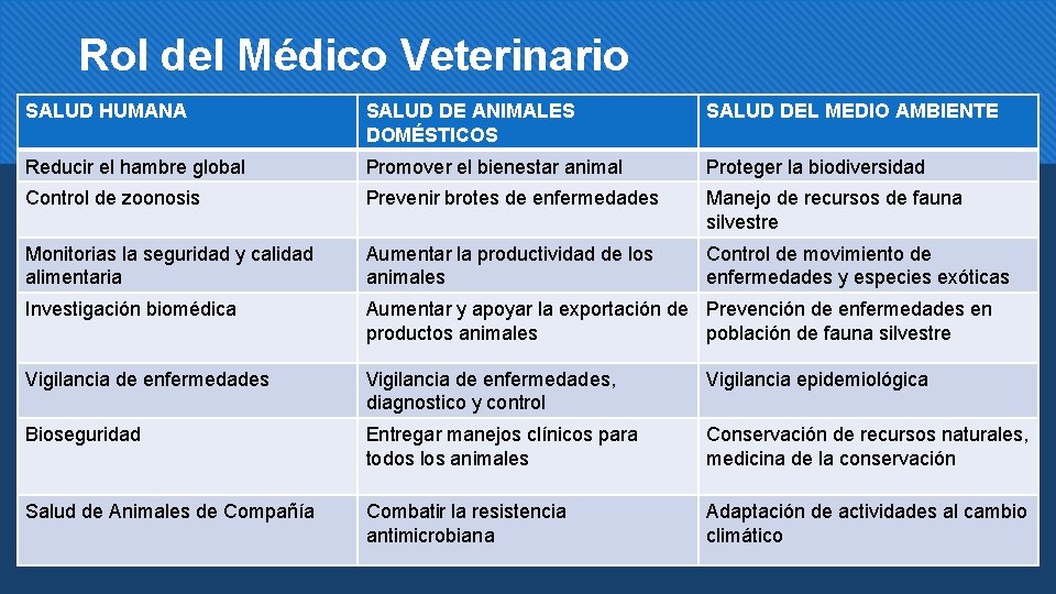 Rol del Médico Veterinario SALUD HUMANA SALUD DE ANIMALES DOMÉSTICOS SALUD DEL MEDIO AMBIENTE