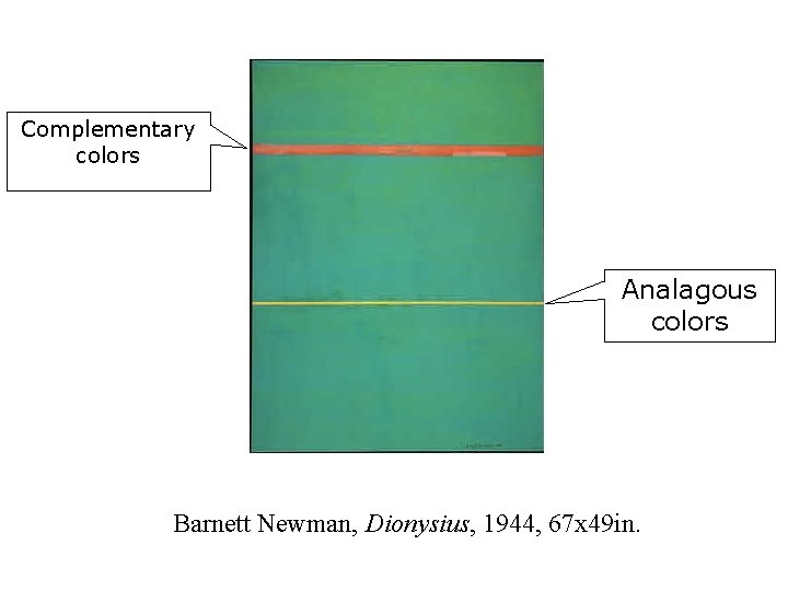 Complementary colors Analagous colors Barnett Newman, Dionysius, 1944, 67 x 49 in. 