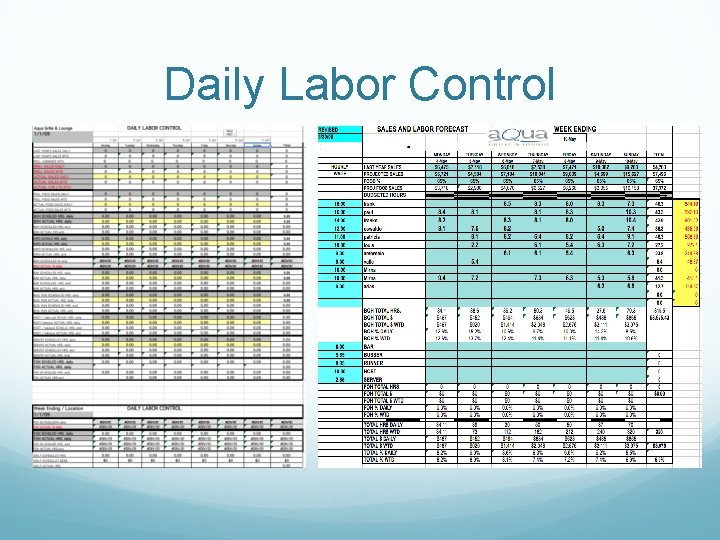 Daily Labor Control 