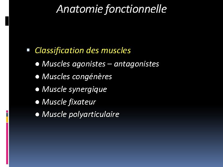 Anatomie fonctionnelle Classification des muscles ● Muscles agonistes – antagonistes ● Muscles congénères ●