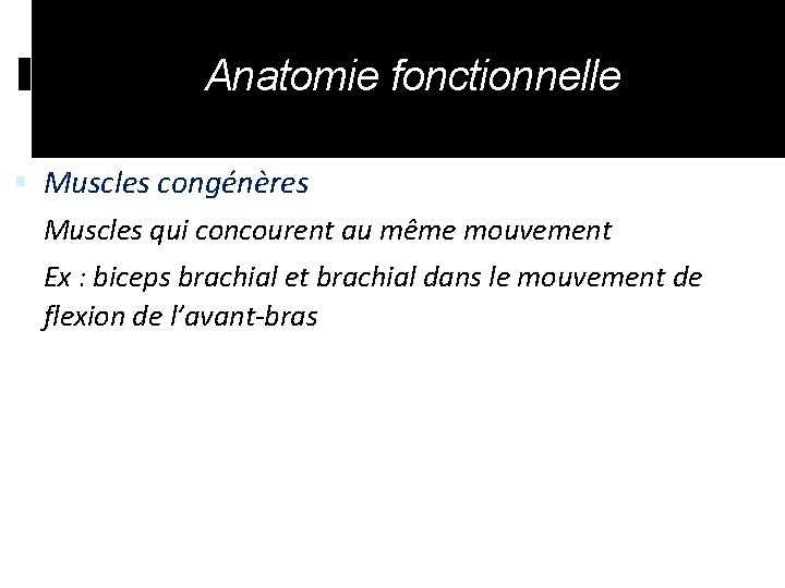 Anatomie fonctionnelle Muscles congénères Muscles qui concourent au même mouvement Ex : biceps brachial