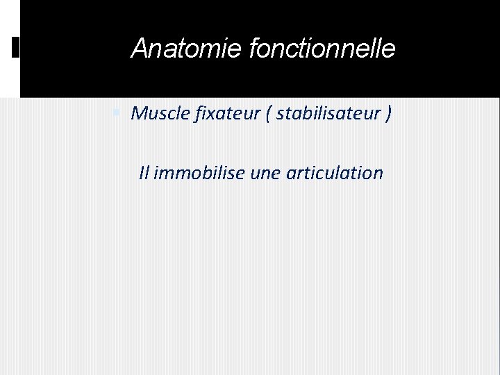 Anatomie fonctionnelle Muscle fixateur ( stabilisateur ) Il immobilise une articulation 