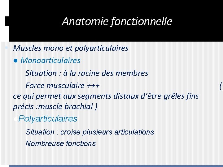 Anatomie fonctionnelle Muscles mono et polyarticulaires ● Monoarticulaires Situation : à la racine des