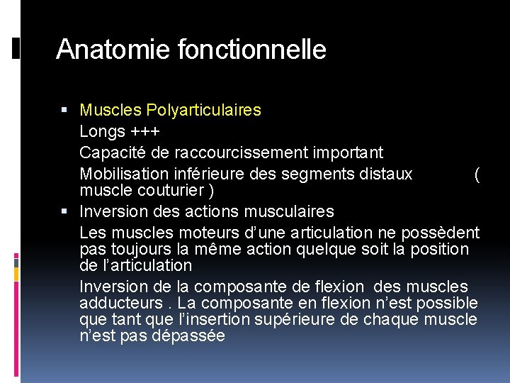 Anatomie fonctionnelle Muscles Polyarticulaires Longs +++ Capacité de raccourcissement important Mobilisation inférieure des segments