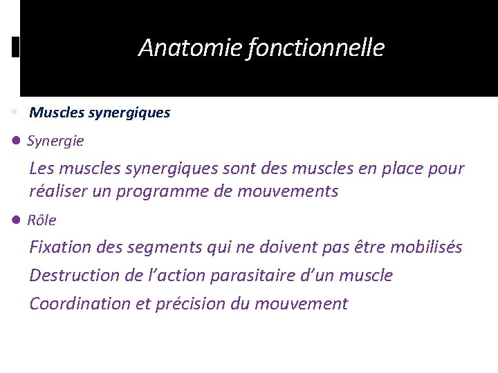 Anatomie fonctionnelle Muscles synergiques ● Synergie Les muscles synergiques sont des muscles en place