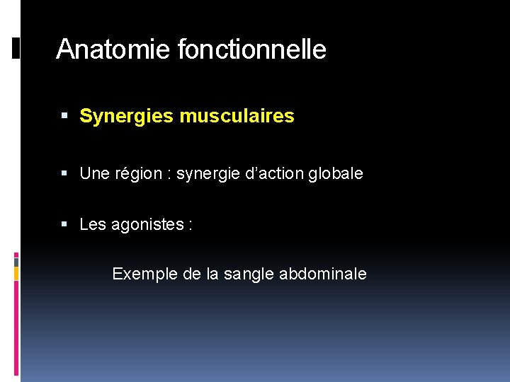 Anatomie fonctionnelle Synergies musculaires Une région : synergie d’action globale Les agonistes : Exemple