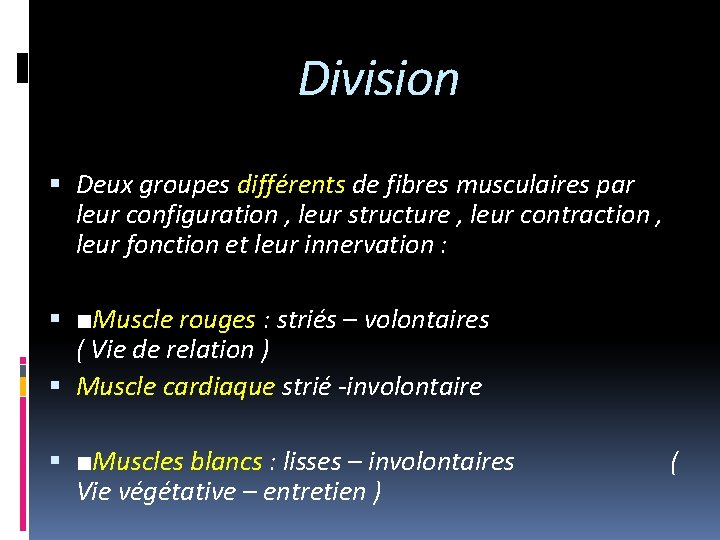 Division Deux groupes différents de fibres musculaires par leur configuration , leur structure ,