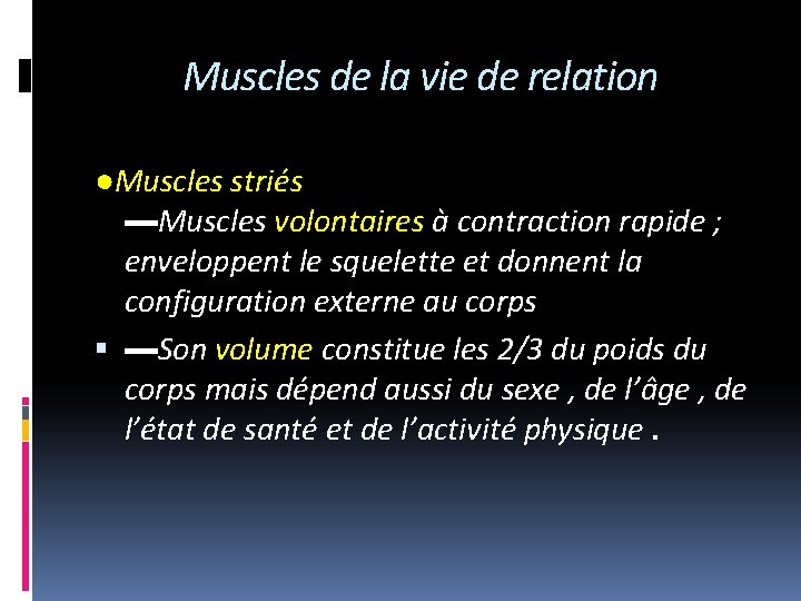 Muscles de la vie de relation ●Muscles striés ▬Muscles volontaires à contraction rapide ;