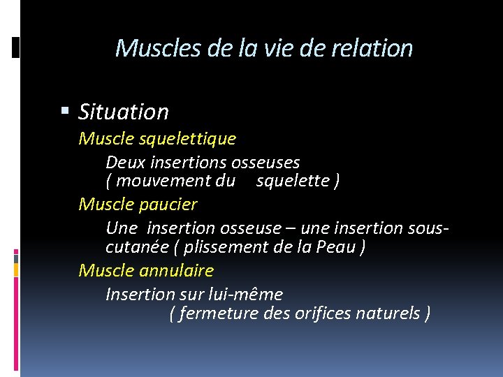 Muscles de la vie de relation Situation Muscle squelettique Deux insertions osseuses ( mouvement