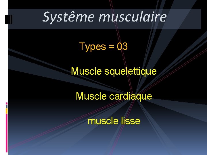 Systême musculaire Types = 03 Muscle squelettique Muscle cardiaque muscle lisse 