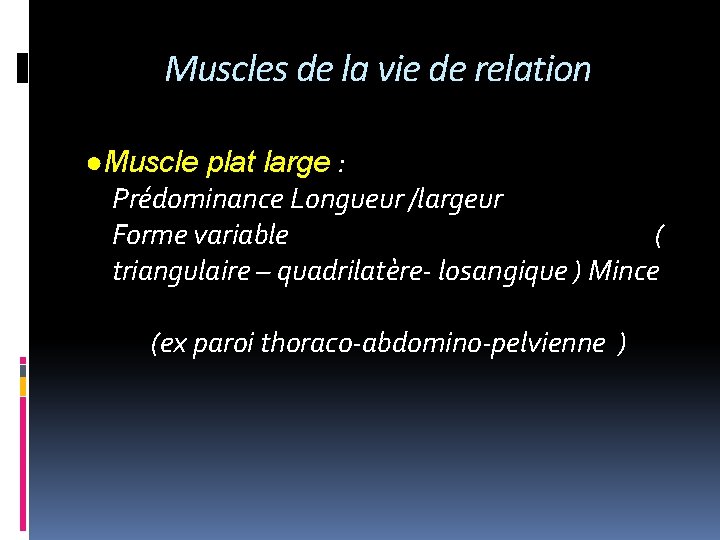 Muscles de la vie de relation ●Muscle plat large : Prédominance Longueur /largeur Forme