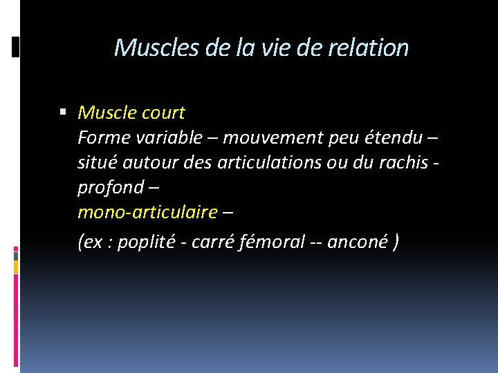 Muscles de la vie de relation Muscle court Forme variable – mouvement peu étendu