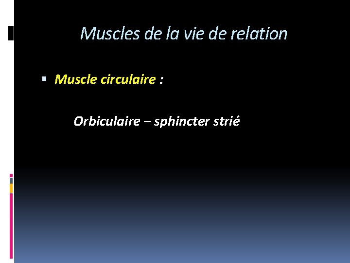 Muscles de la vie de relation Muscle circulaire : Orbiculaire – sphincter strié 