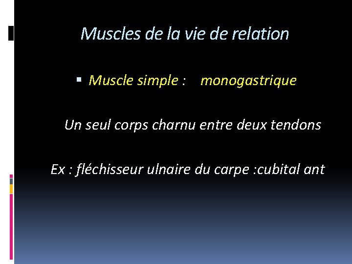 Muscles de la vie de relation Muscle simple : monogastrique Un seul corps charnu