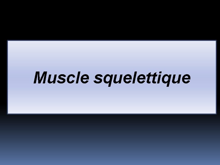 Muscle squelettique 