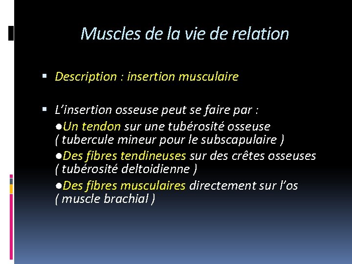 Muscles de la vie de relation Description : insertion musculaire L’insertion osseuse peut se