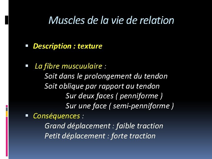 Muscles de la vie de relation Description : texture La fibre muscuulaire : Soit