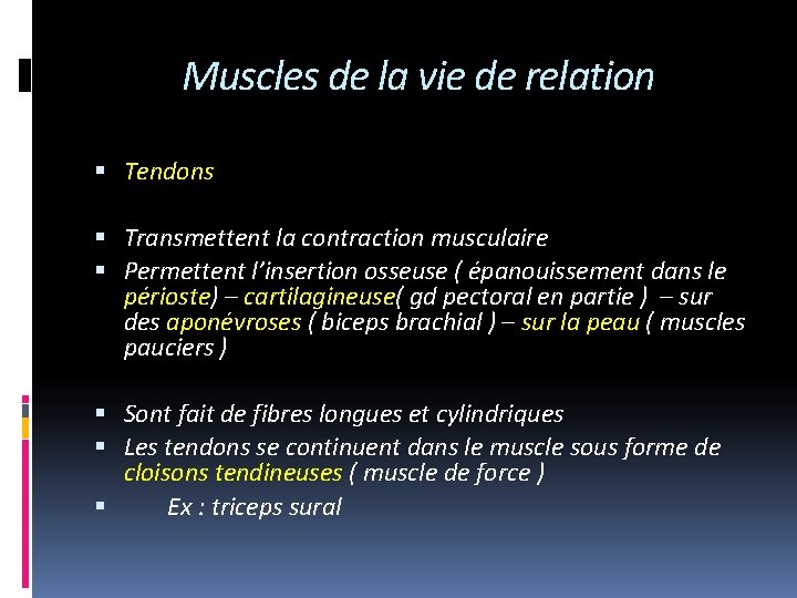 Muscles de la vie de relation Tendons Transmettent la contraction musculaire Permettent l’insertion osseuse