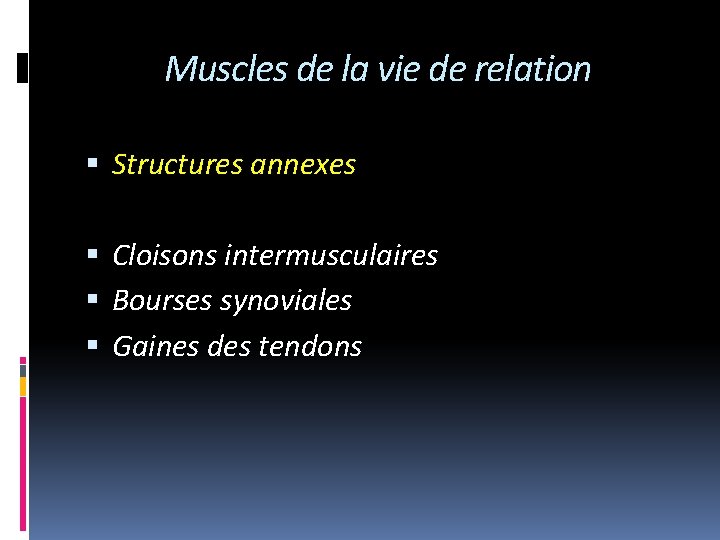 Muscles de la vie de relation Structures annexes Cloisons intermusculaires Bourses synoviales Gaines des
