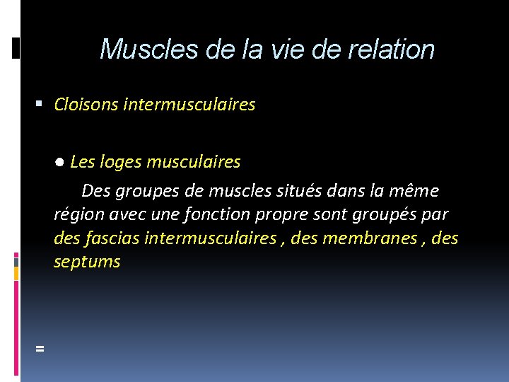Muscles de la vie de relation Cloisons intermusculaires ● Les loges musculaires Des groupes