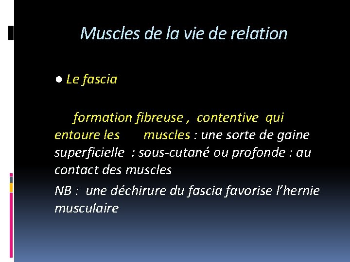 Muscles de la vie de relation ● Le fascia formation fibreuse , contentive qui