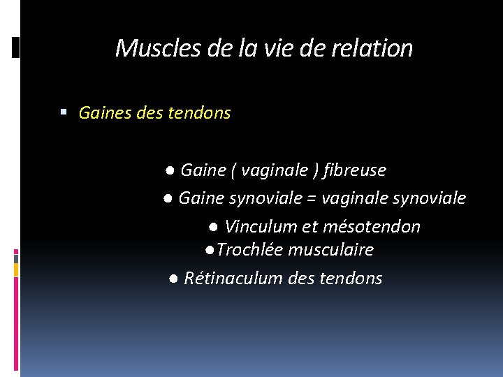 Muscles de la vie de relation Gaines des tendons ● Gaine ( vaginale )